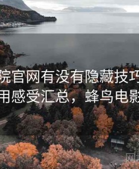 蜂鸟影院官网有没有隐藏技巧问题汇总：使用感受汇总，蜂鸟电影哪里看