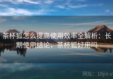 茶杯狐怎么提高使用效率全解析：长期使用结论，茶杯狐好用吗