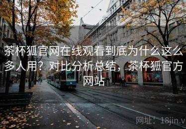 茶杯狐官网在线观看到底为什么这么多人用？对比分析总结，茶杯狐官方网站