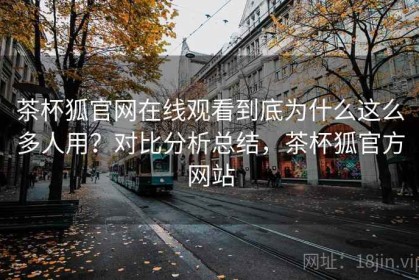 茶杯狐官网在线观看到底为什么这么多人用？对比分析总结，茶杯狐官方网站