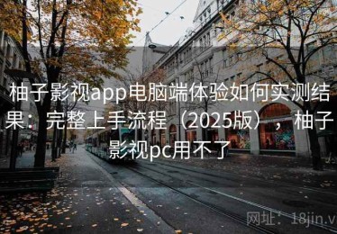 柚子影视app电脑端体验如何实测结果：完整上手流程（2025版），柚子影视pc用不了