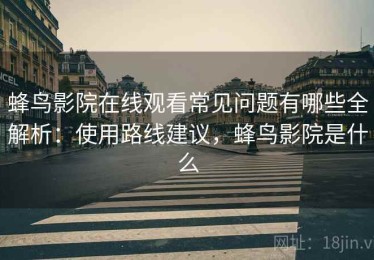 蜂鸟影院在线观看常见问题有哪些全解析：使用路线建议，蜂鸟影院是什么