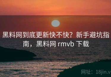黑料网到底更新快不快？新手避坑指南，黑料网 rmvb 下载