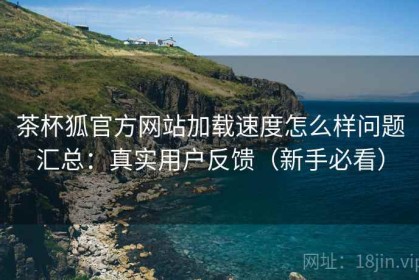 茶杯狐官方网站加载速度怎么样问题汇总：真实用户反馈（新手必看）