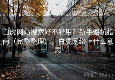 白虎网站搜索好不好用？新手避坑指南（完整整理），白虎网络上什么意思