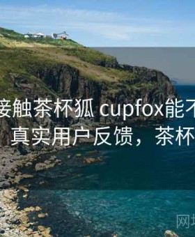 第一次接触茶杯狐 cupfox能不能长期用？真实用户反馈，茶杯狐a