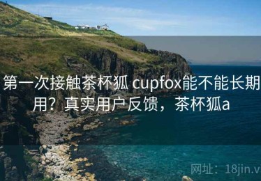 第一次接触茶杯狐 cupfox能不能长期用？真实用户反馈，茶杯狐a