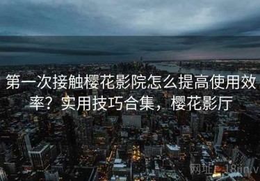 第一次接触樱花影院怎么提高使用效率？实用技巧合集，樱花影厅