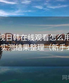 人人影视日韩在线观看怎么用实测结果：实测结果整理（新手必看）