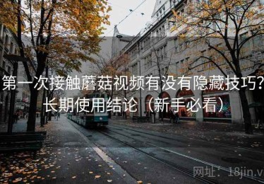 第一次接触蘑菇视频有没有隐藏技巧？长期使用结论（新手必看）