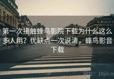 第一次接触蜂鸟影院下载为什么这么多人用？优缺点一次说清，蜂鸟影音下载