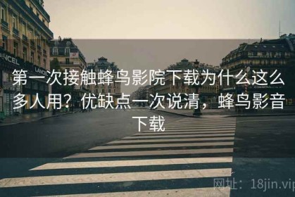 第一次接触蜂鸟影院下载为什么这么多人用？优缺点一次说清，蜂鸟影音下载