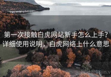 第一次接触白虎网站新手怎么上手？详细使用说明，白虎网络上什么意思