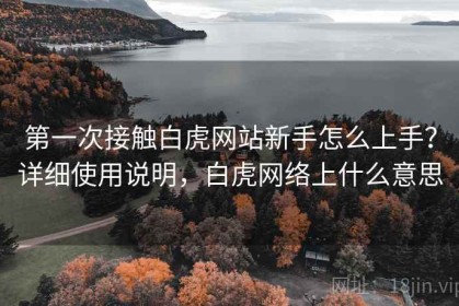 第一次接触白虎网站新手怎么上手？详细使用说明，白虎网络上什么意思