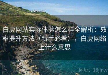 白虎网站实际体验怎么样全解析：效率提升方法（新手必看），白虎网络上什么意思