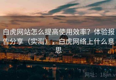 白虎网站怎么提高使用效率？体验报告分享（实测），白虎网络上什么意思