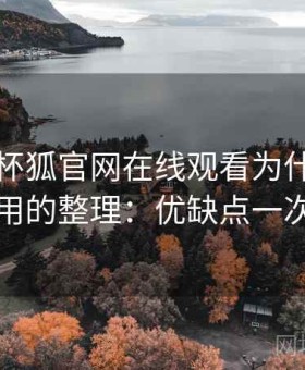 关于茶杯狐官网在线观看为什么这么多人用的整理：优缺点一次说清