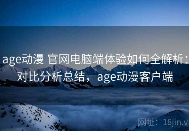 age动漫 官网电脑端体验如何全解析：对比分析总结，age动漫客户端
