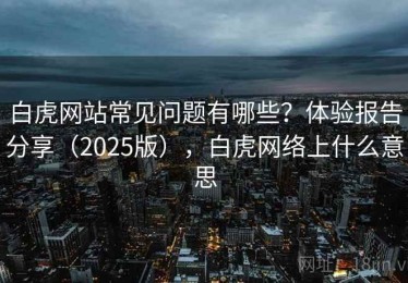 白虎网站常见问题有哪些？体验报告分享（2025版），白虎网络上什么意思