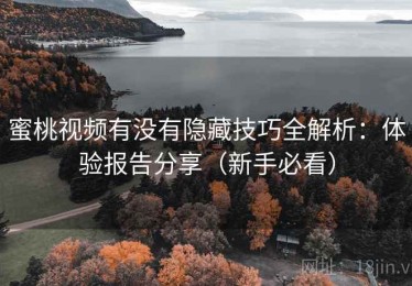 蜜桃视频有没有隐藏技巧全解析：体验报告分享（新手必看）