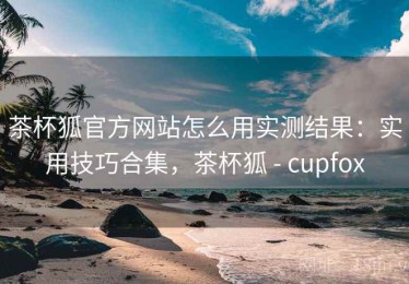 茶杯狐官方网站怎么用实测结果：实用技巧合集，茶杯狐 - cupfox