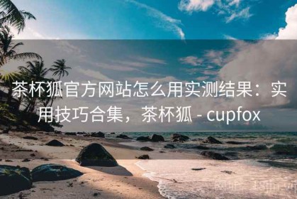 茶杯狐官方网站怎么用实测结果：实用技巧合集，茶杯狐 - cupfox