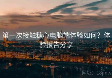 第一次接触糖心电脑端体验如何？体验报告分享