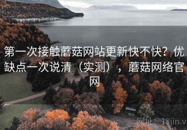 第一次接触蘑菇网站更新快不快？优缺点一次说清（实测），蘑菇网络官网