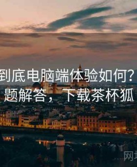 茶杯狐到底电脑端体验如何？常见问题解答，下载茶杯狐