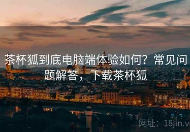 茶杯狐到底电脑端体验如何？常见问题解答，下载茶杯狐