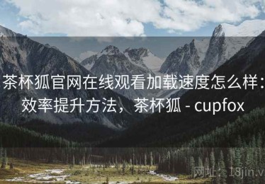 茶杯狐官网在线观看加载速度怎么样：效率提升方法，茶杯狐 - cupfox