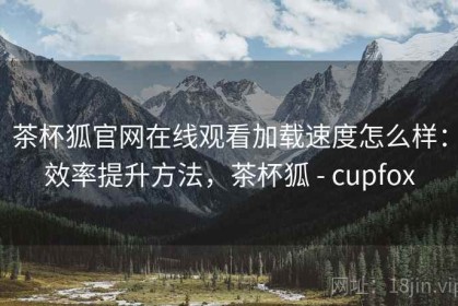 茶杯狐官网在线观看加载速度怎么样：效率提升方法，茶杯狐 - cupfox