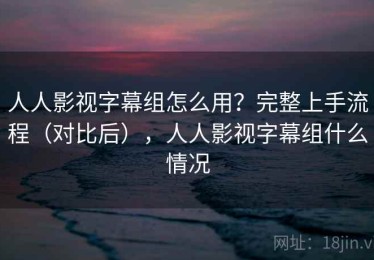 人人影视字幕组怎么用？完整上手流程（对比后），人人影视字幕组什么情况