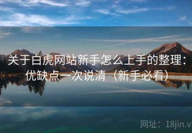 关于白虎网站新手怎么上手的整理：优缺点一次说清（新手必看）