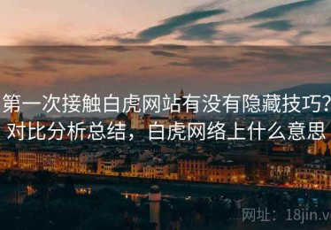 第一次接触白虎网站有没有隐藏技巧？对比分析总结，白虎网络上什么意思