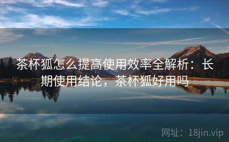 茶杯狐怎么提高使用效率全解析：长期使用结论，茶杯狐好用吗