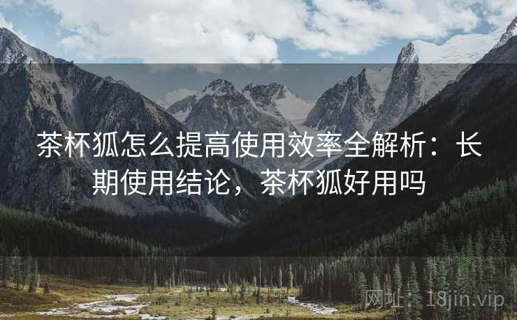 茶杯狐怎么提高使用效率全解析：长期使用结论，茶杯狐好用吗