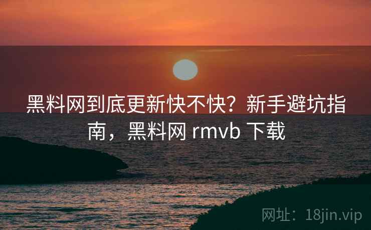 黑料网到底更新快不快？新手避坑指南，黑料网 rmvb 下载