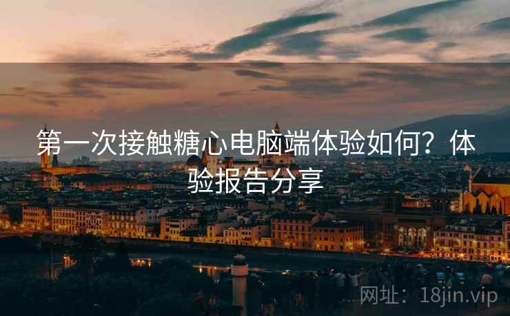 第一次接触糖心电脑端体验如何?体验报告分享 第一次接触糖心电脑端体验如何?体验报告分享