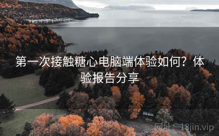 第一次接触糖心电脑端体验如何?体验报告分享 第一次接触糖心电脑端体验如何?体验报告分享