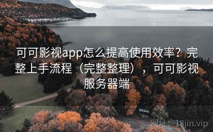 可可影视app怎么提高使用效率？完整上手流程（完整整理），可可影视服务器端