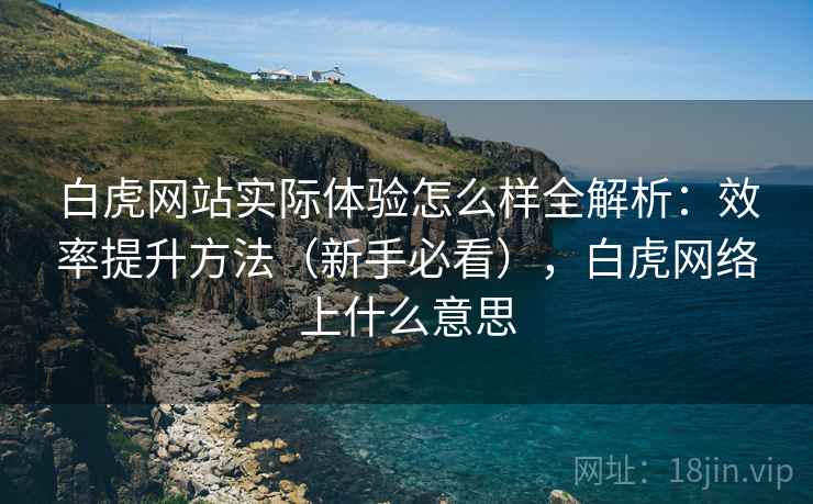 白虎网站实际体验怎么样全解析：效率提升方法（新手必看），白虎网络上什么意思